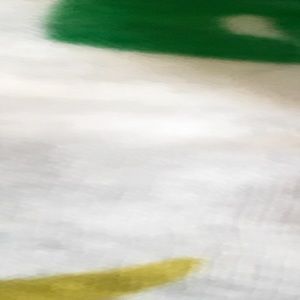 Meet your Posher, Ann